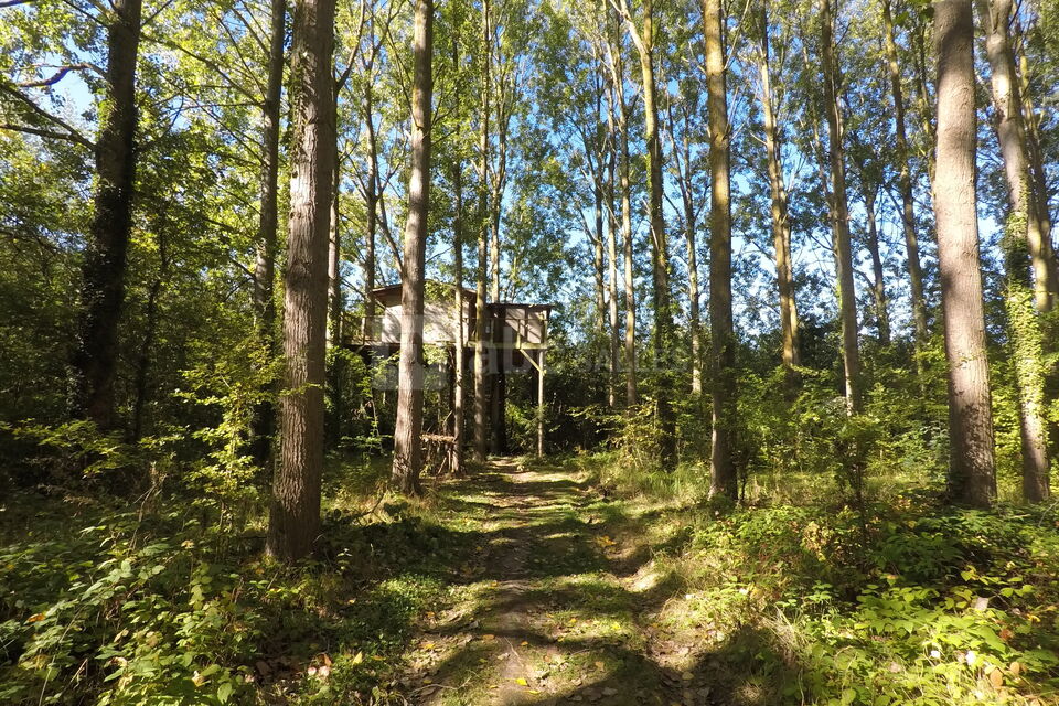 Les Nids de Chlorofil