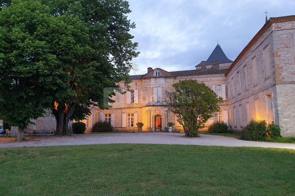 Château de Montricoux 2
