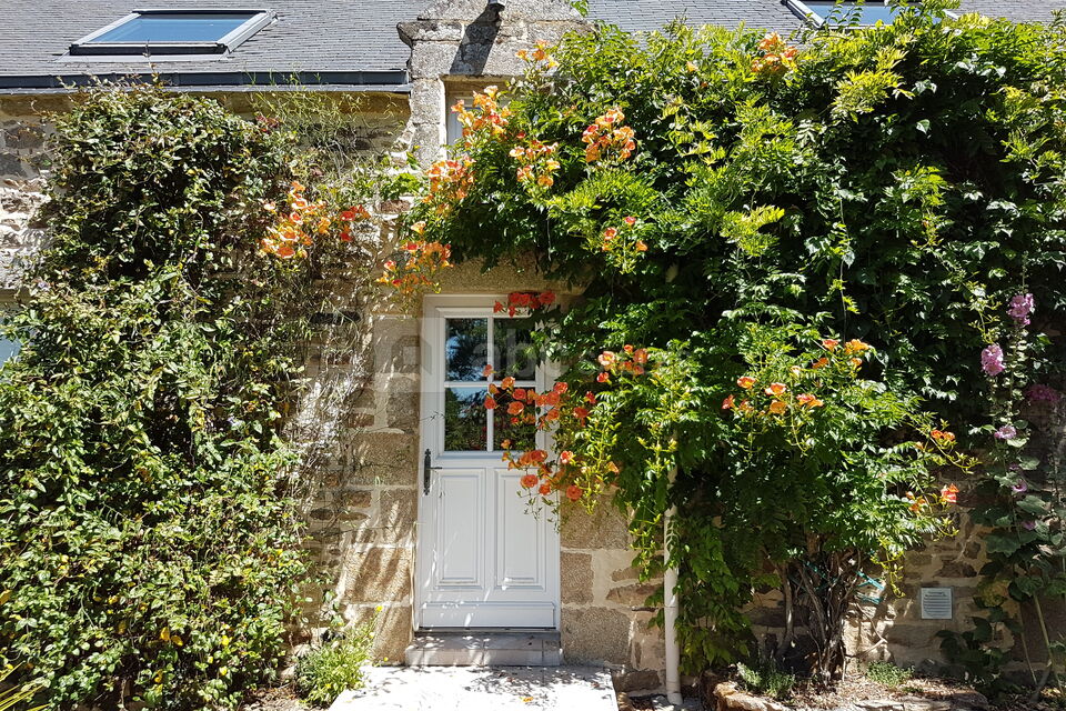 Entrée