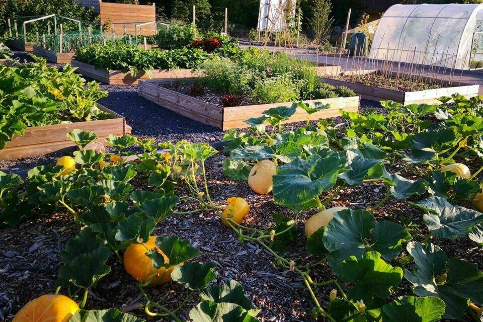Permaculture