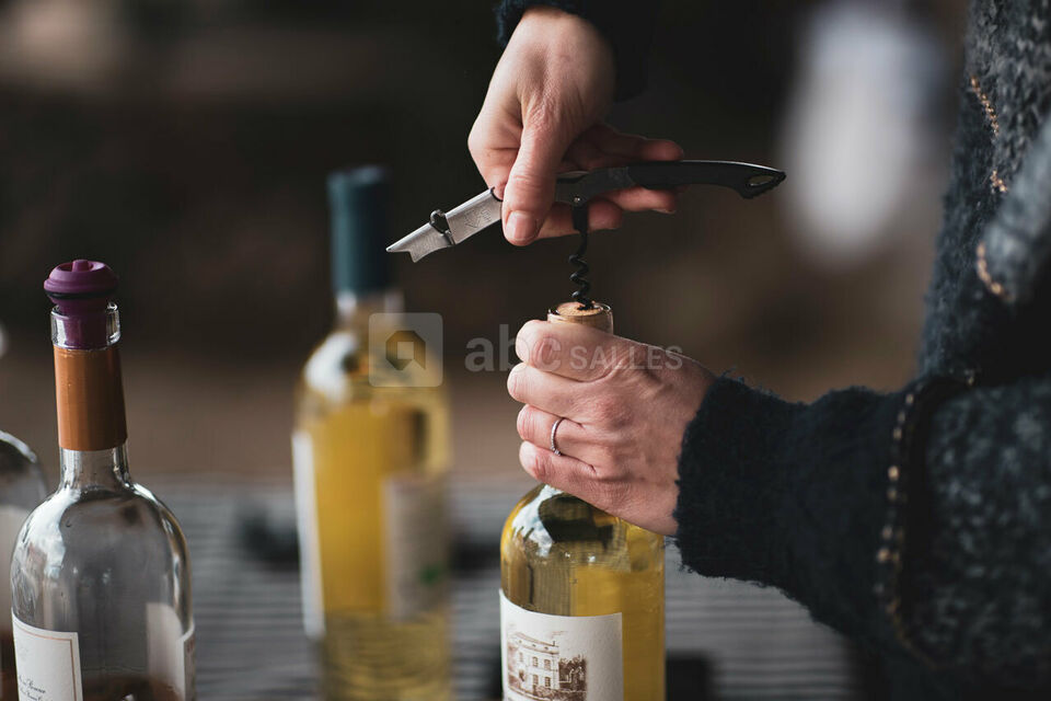 Dégustation de vins