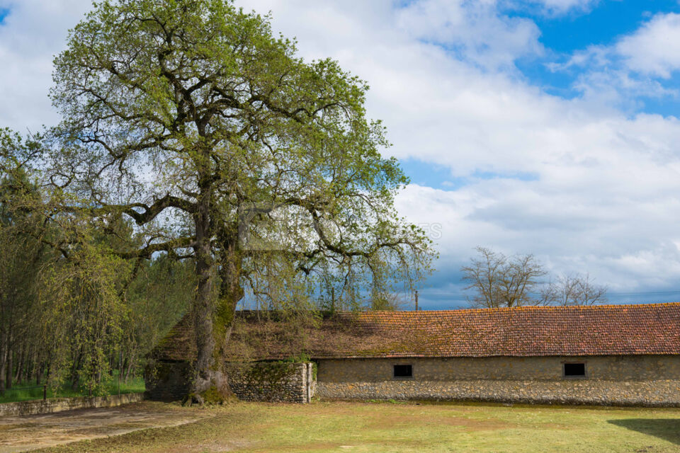 Château de Saint-Martory