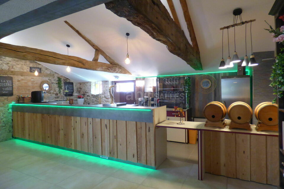 Bar avec frigo, lave-verres et machine à glaçons
