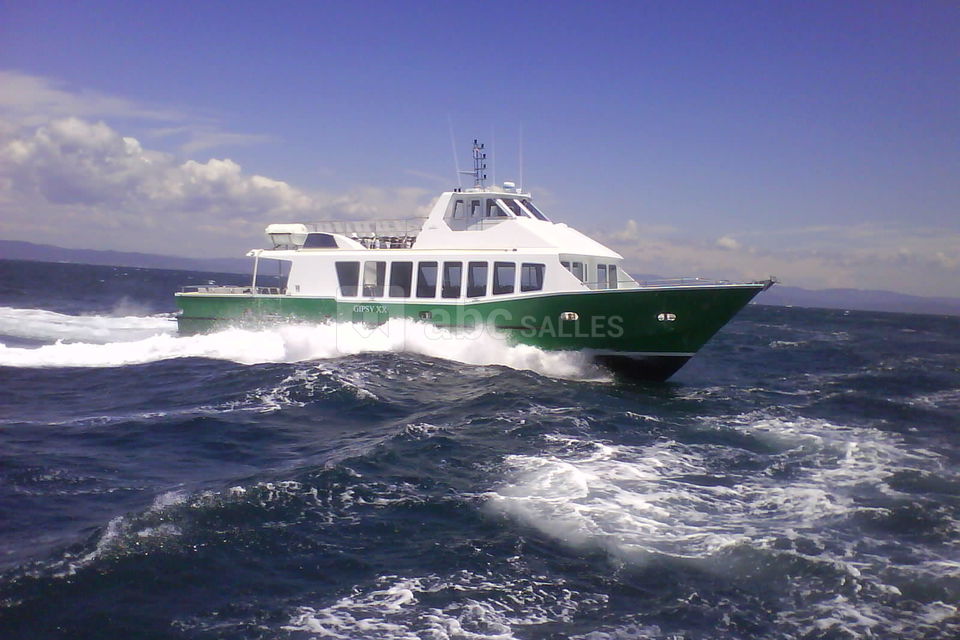 Gipsy xx - jusqu'à 171 passagers