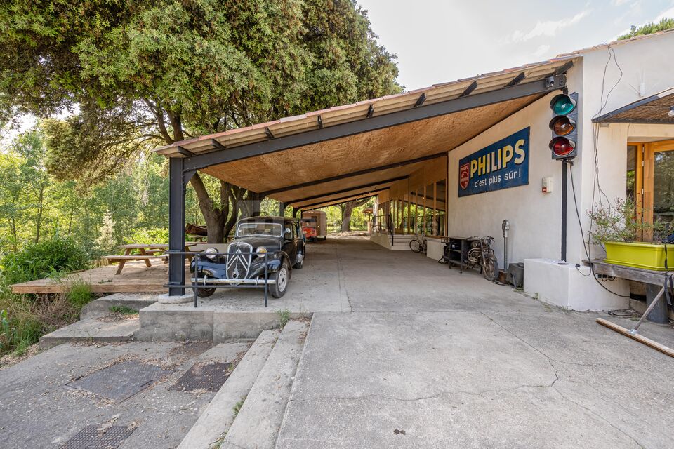 Puravida