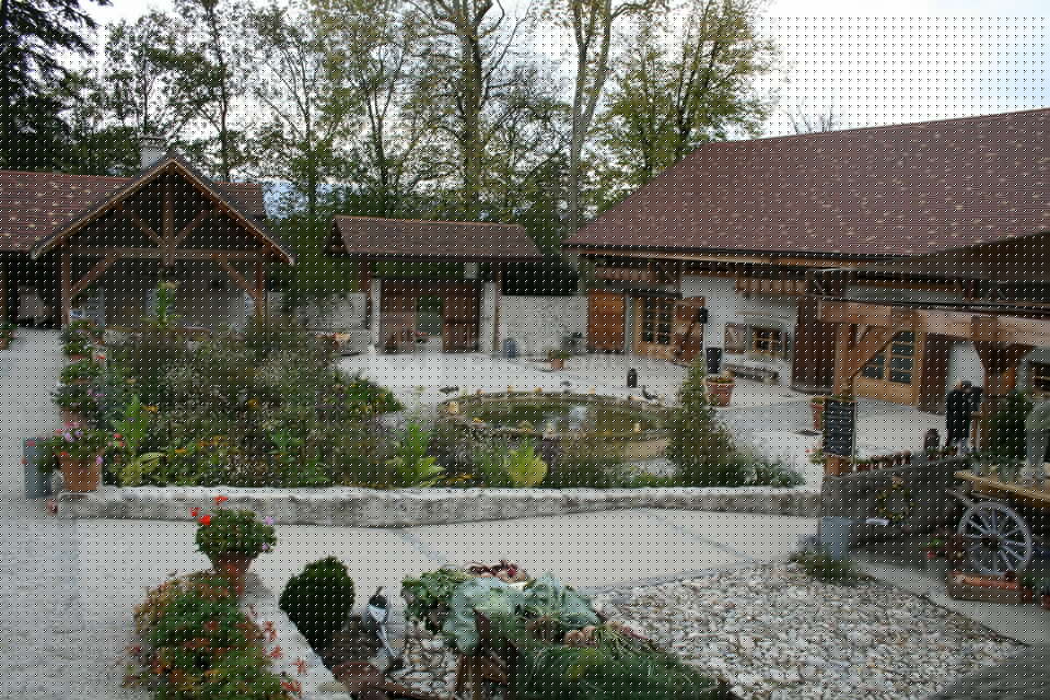 La cour-jardin