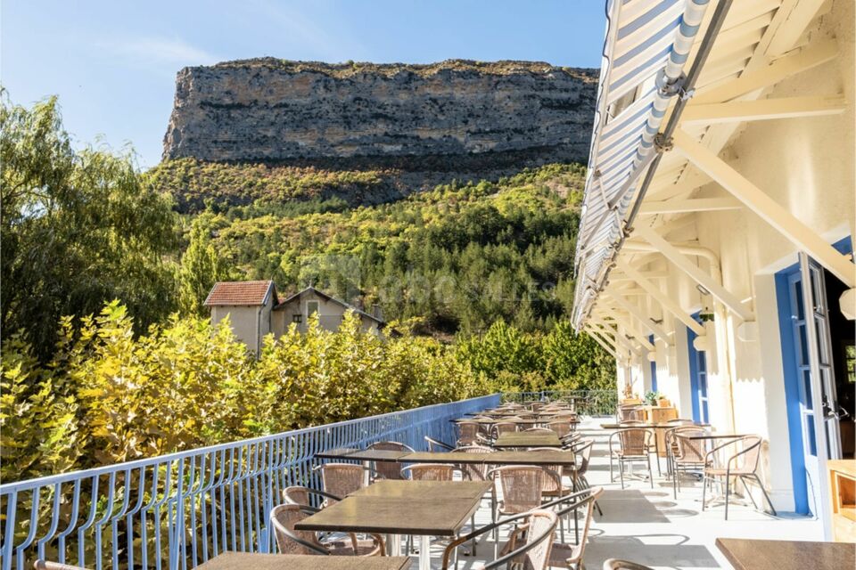 Les Lavandes Rémuzat Drôme Provençale