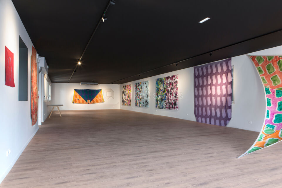 Peintures de Claude Viallat et Franck Challendard au premier étage de la galerie