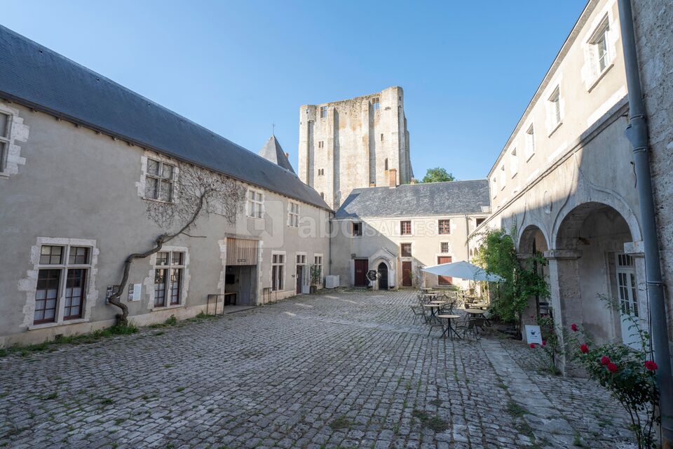 Château de Beaugency