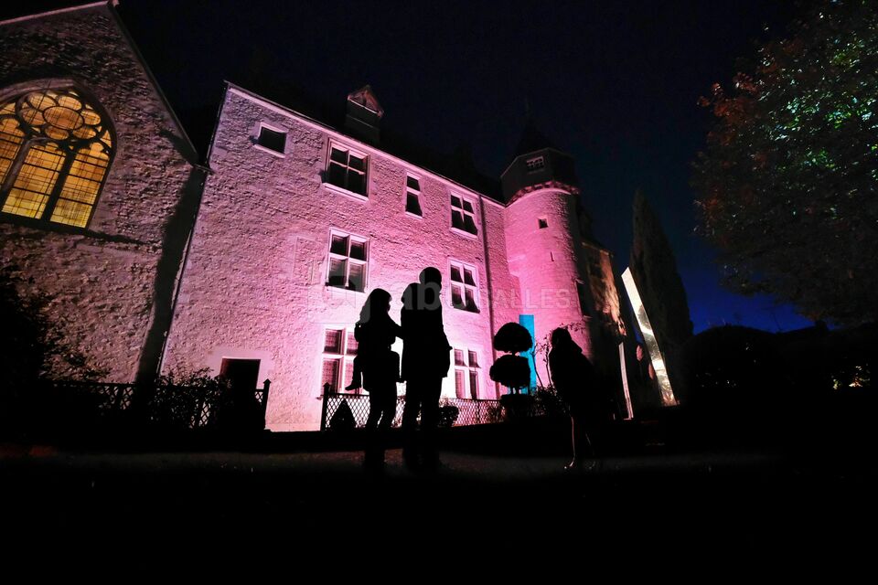 Château de Beaugency