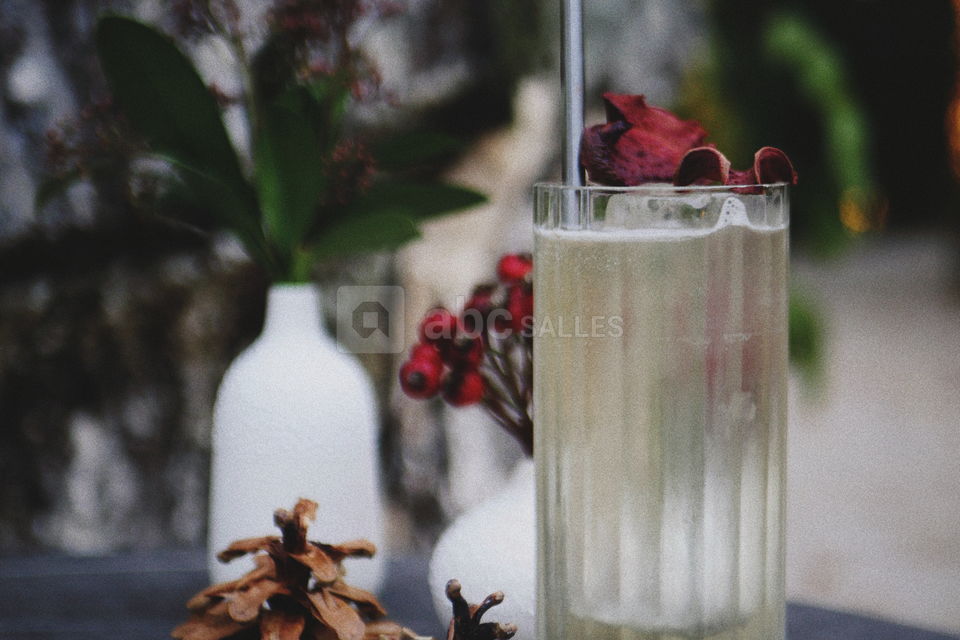 Apicius