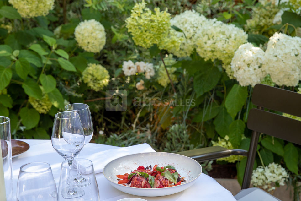 Apicius