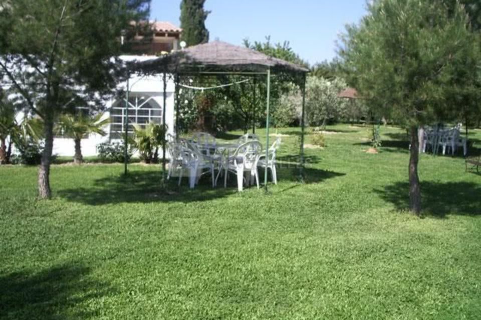 Macciana