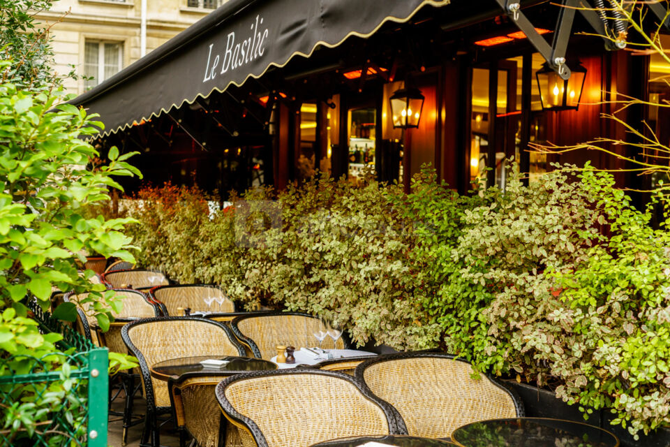 Le Basilic