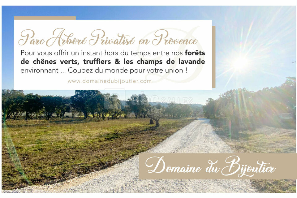 Un aperçu de notre parc arboré
