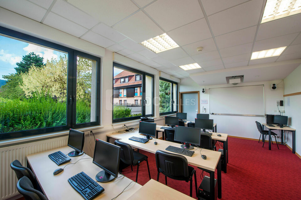 Centre le Mittel