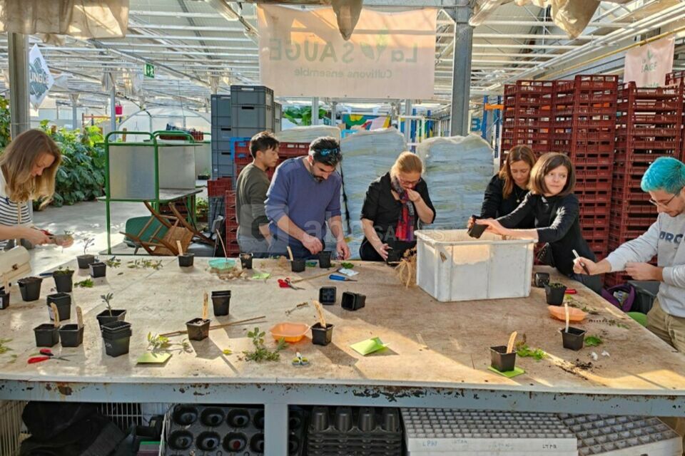 Atelier teambuilding