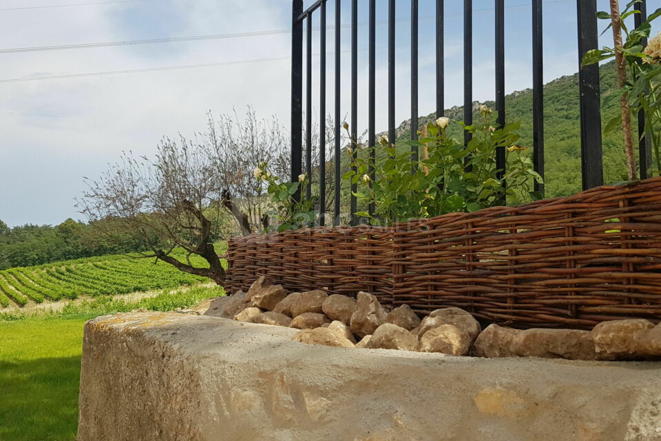Domaine de la Mongestine