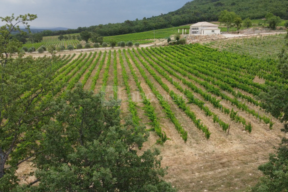 Domaine de la Mongestine
