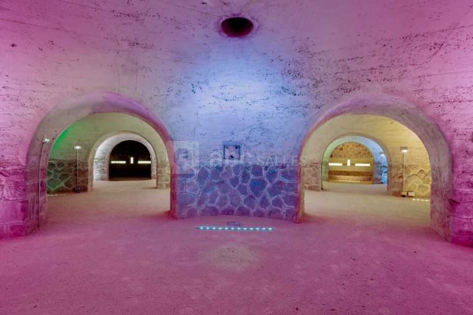 Le Fort de Feyzin