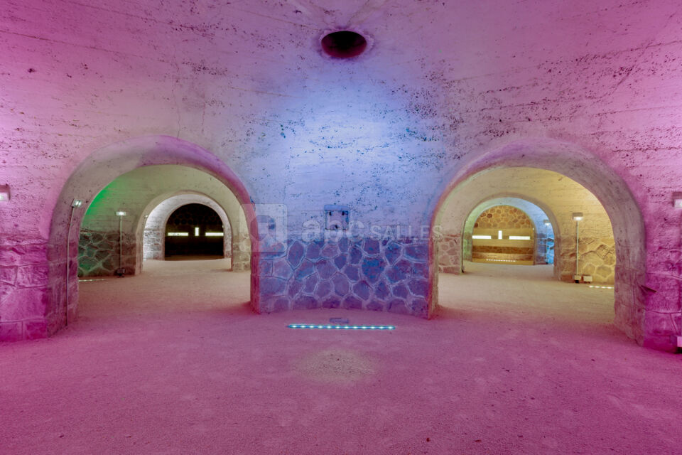 Le Fort de Feyzin