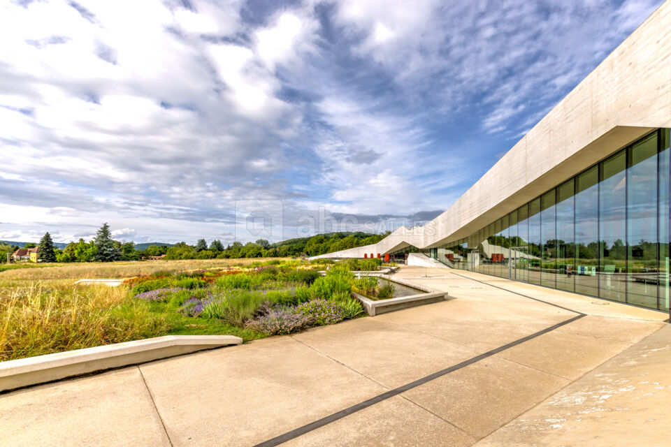 Lascaux IV - Centre International De L’art Pariétal - ABC Salles