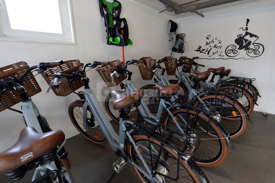 Location de vélos électriques