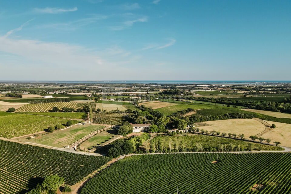 Domaine DéCalage