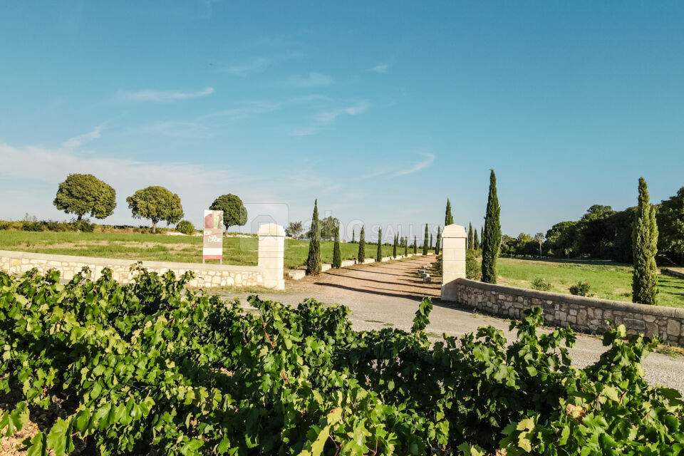 Domaine DéCalage