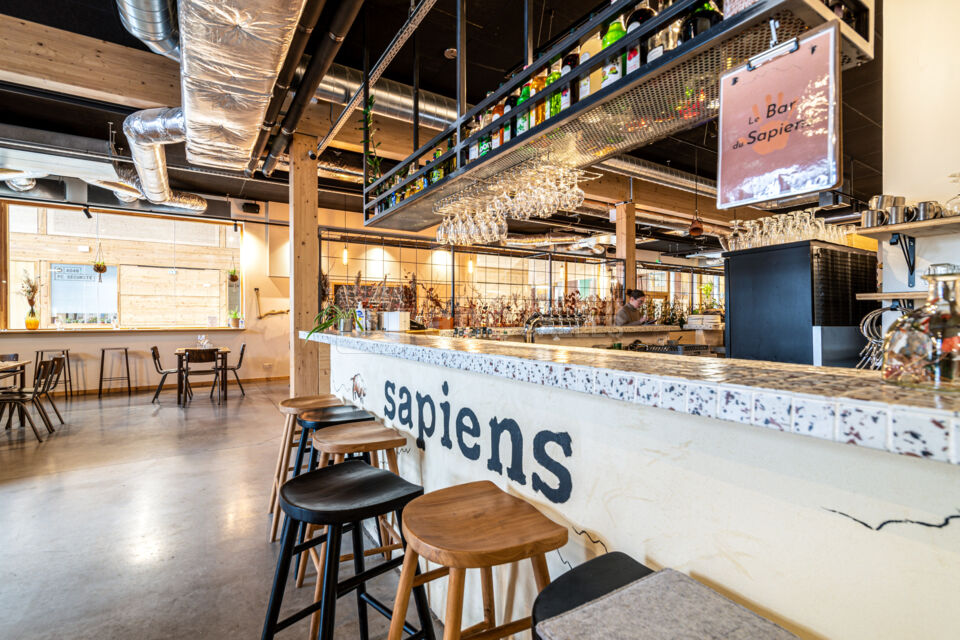 Sapiens