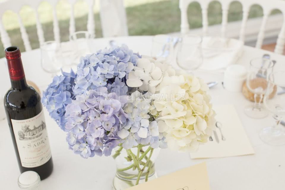 Château Les Noës Blanches - Le Mans