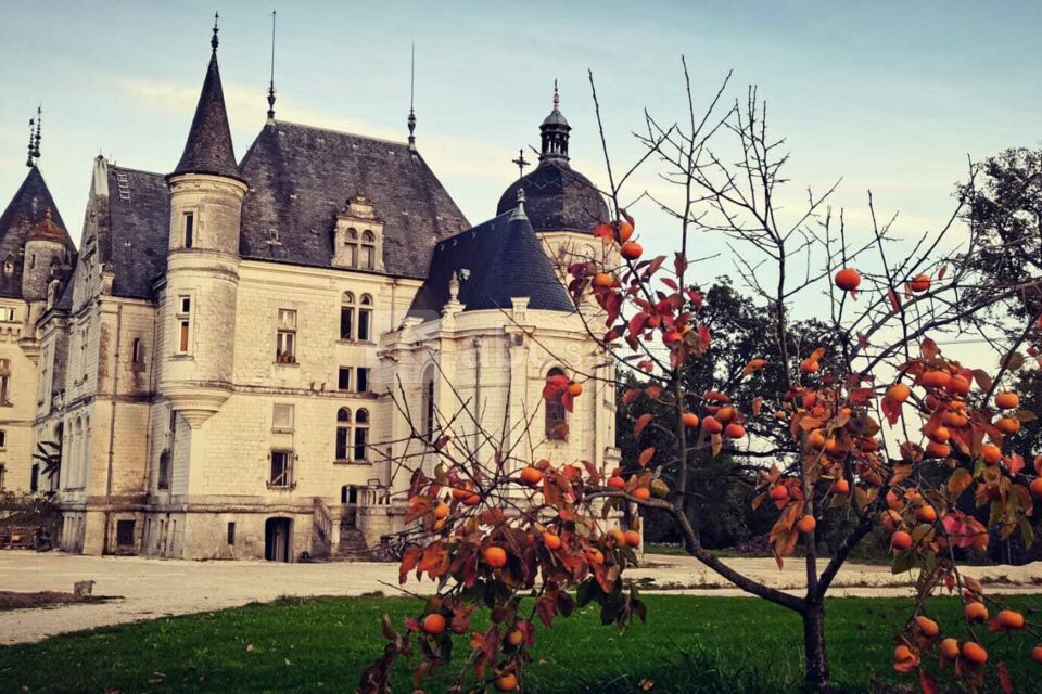 Château