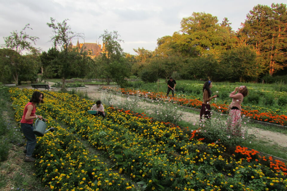 Eco-Village & Retraite Spirituelle - Govinda's Newmayapur