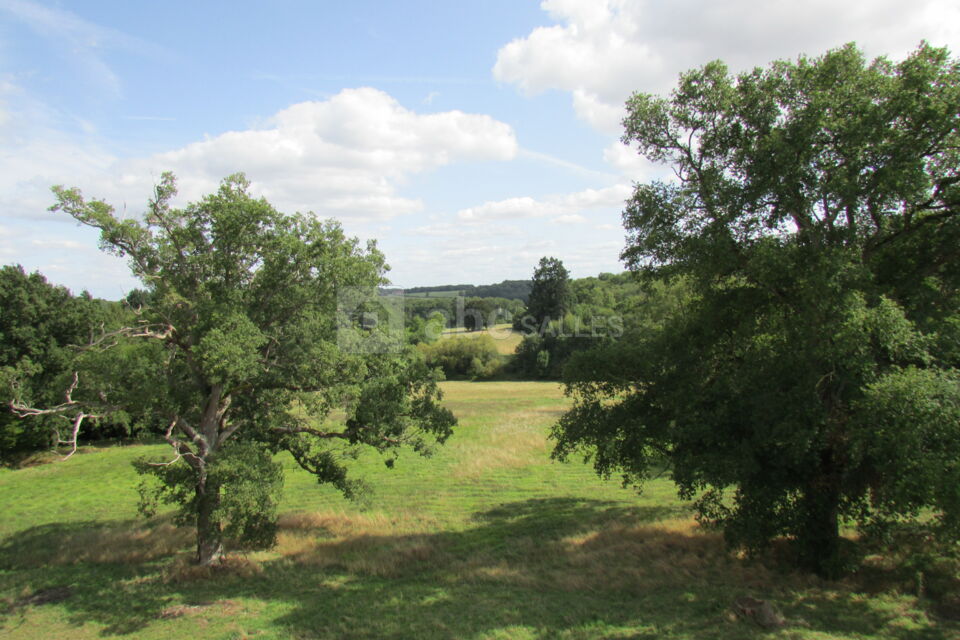 Prairie