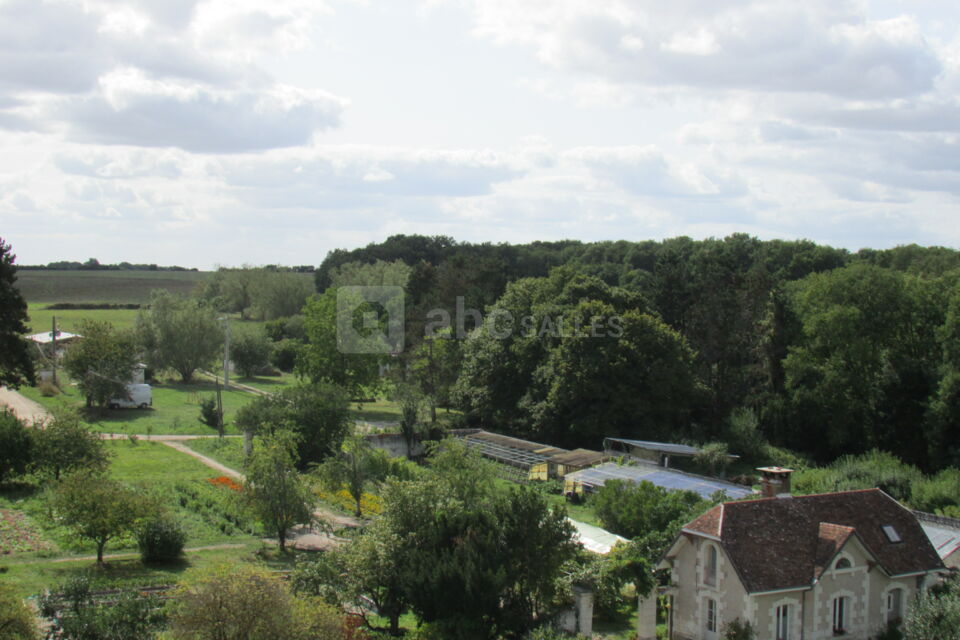 Domaine