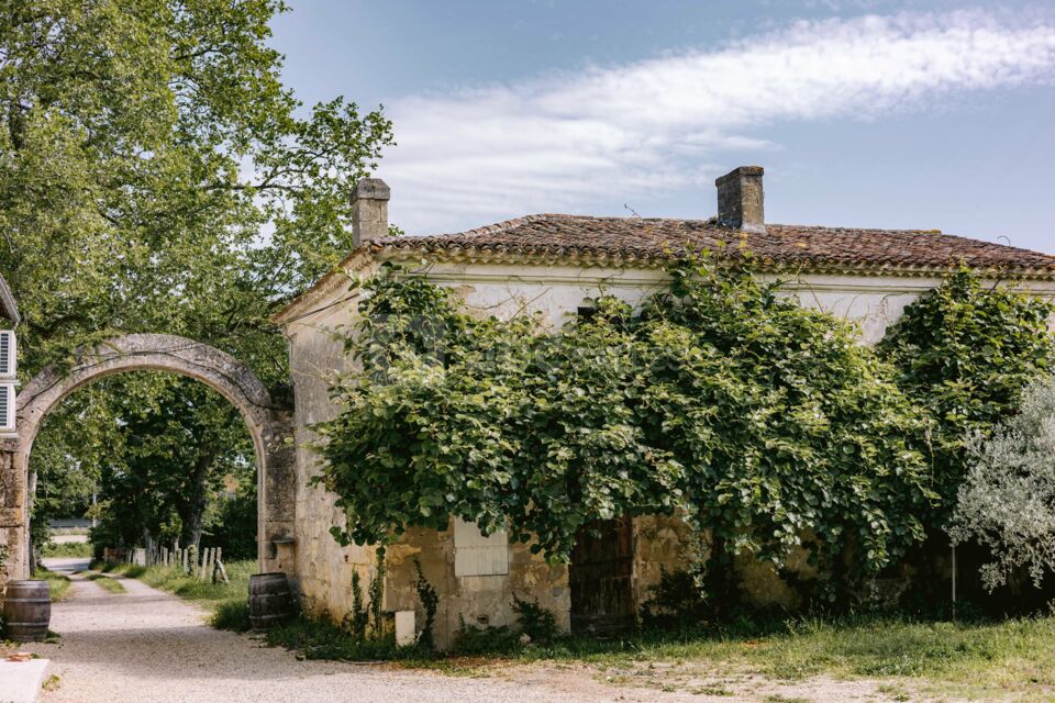 Château des Dauphins