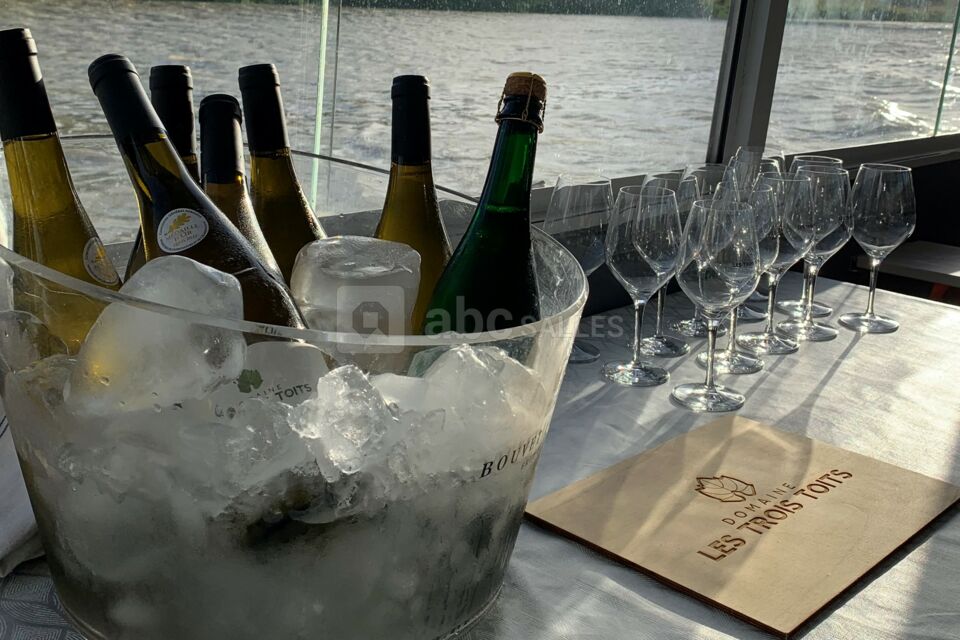 Dégustation des vins du Domaine des Trois Toits