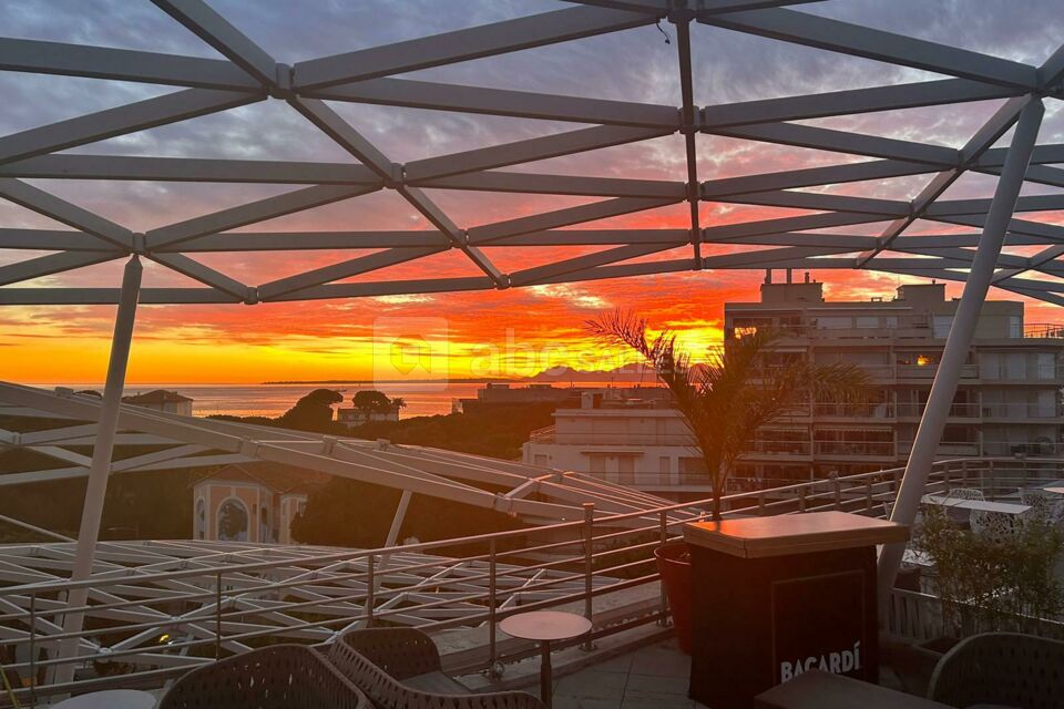 Art View