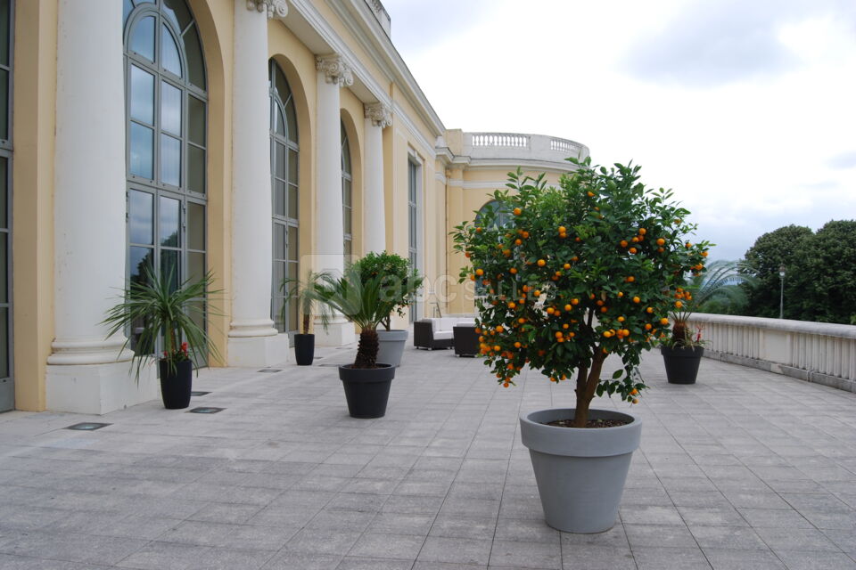 Le Palais Beaumont