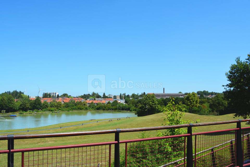 Vue sur le lac