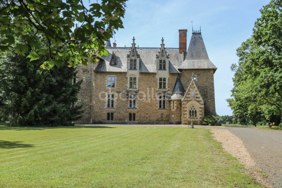Château de La Ferrière-de-Flée