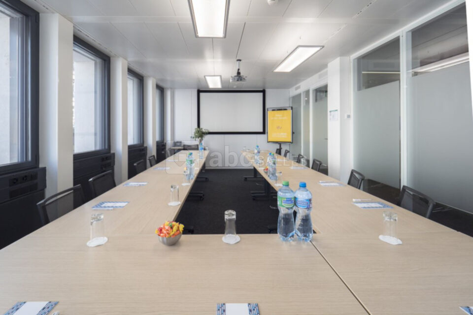 Salle MONT BLANC