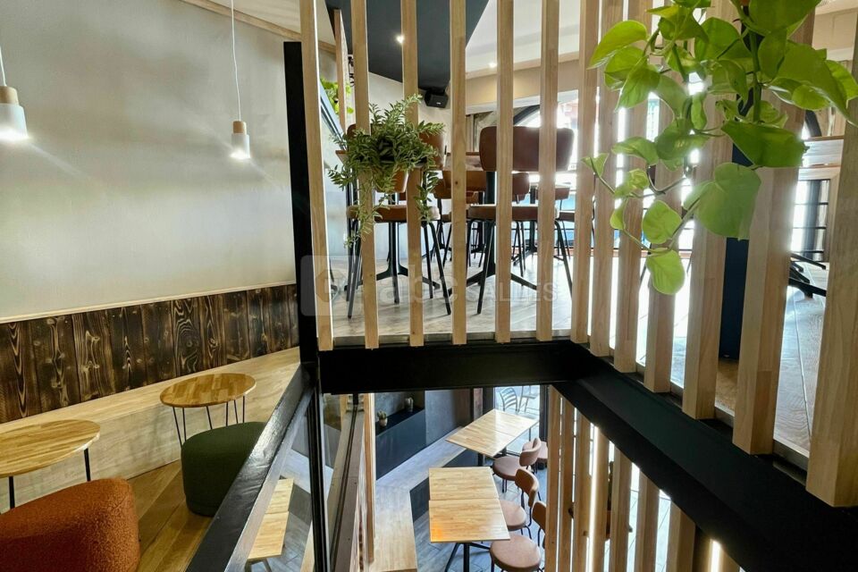 Cactus Bar