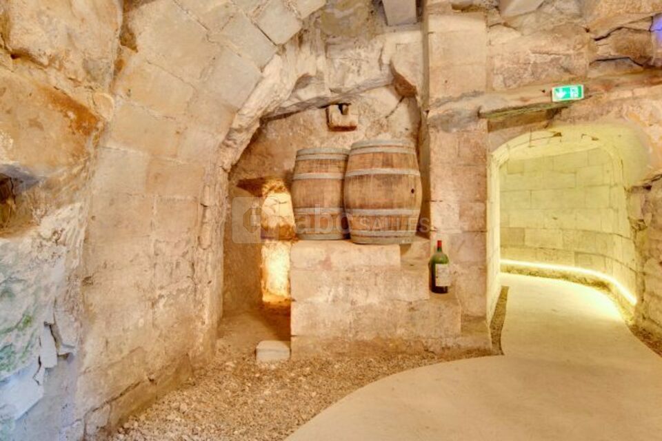 Château de Candes - Art & Spa