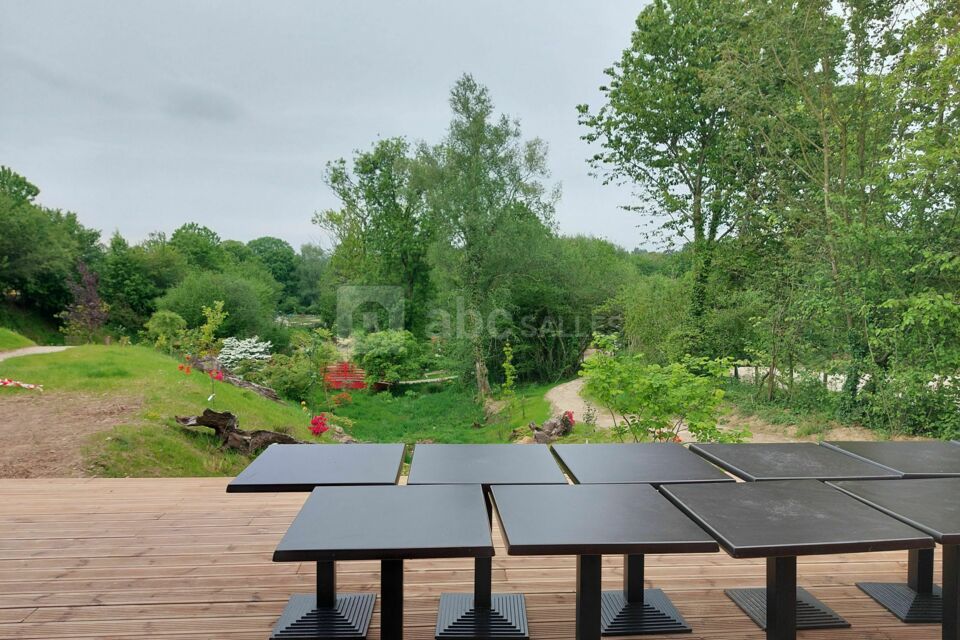 Terrasse en bois