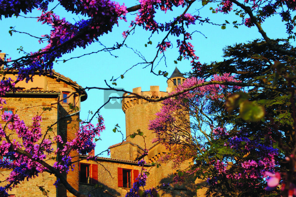 Château de Montmelas