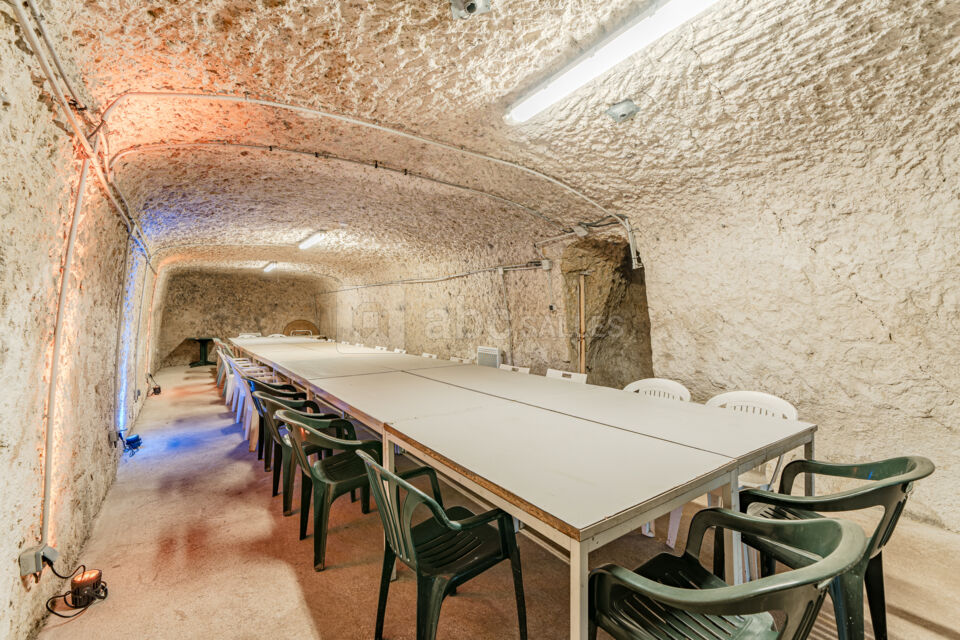 Salle des fêtes Troglodyte