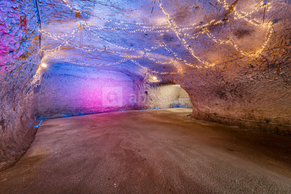 Salle des fêtes Troglodyte