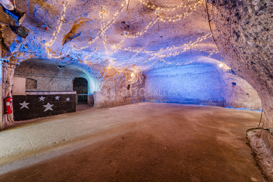 Salle des fêtes Troglodyte