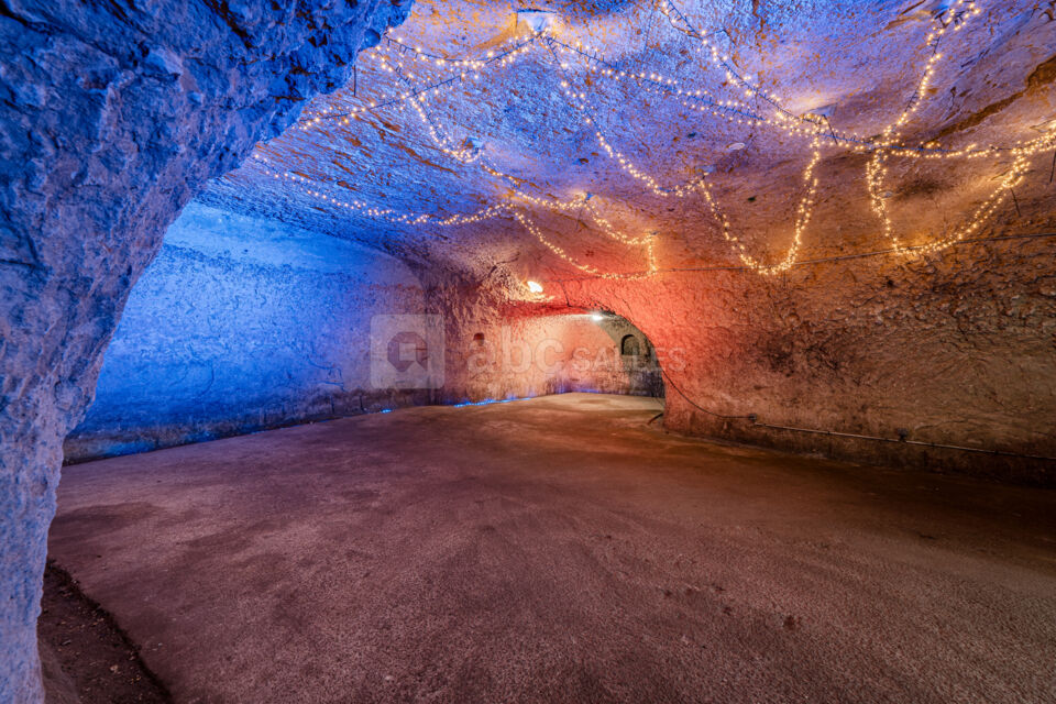 Salle des fêtes Troglodyte